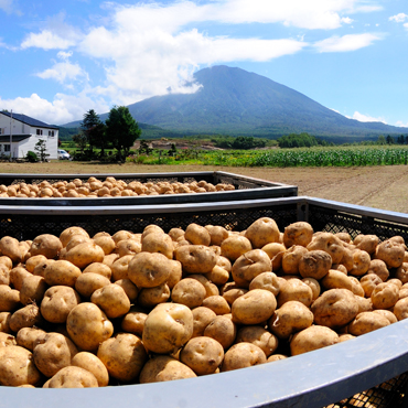 農産物運送